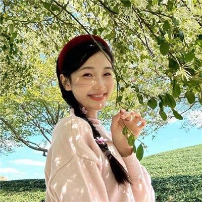 热斗小斑马