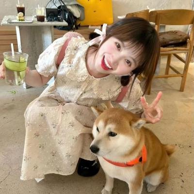 灵镜传奇